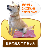 社長の愛犬