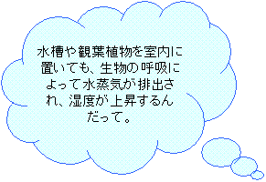 _`o: ϗtAɒuĂǍċzɂĐCroAx㏸񂾂āB